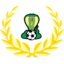 Adelaide Cobras